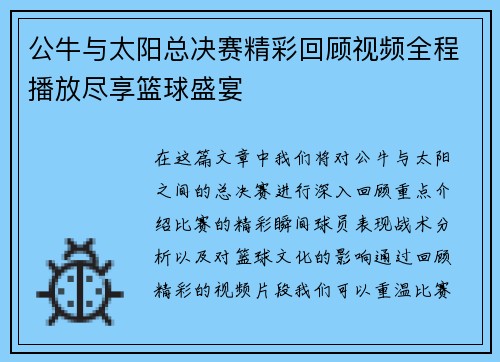 公牛与太阳总决赛精彩回顾视频全程播放尽享篮球盛宴