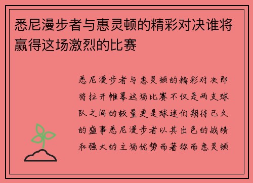 悉尼漫步者与惠灵顿的精彩对决谁将赢得这场激烈的比赛